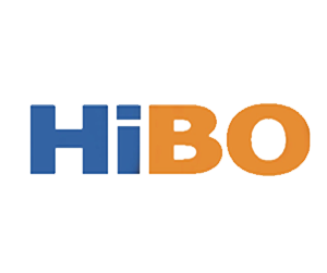 Company icon