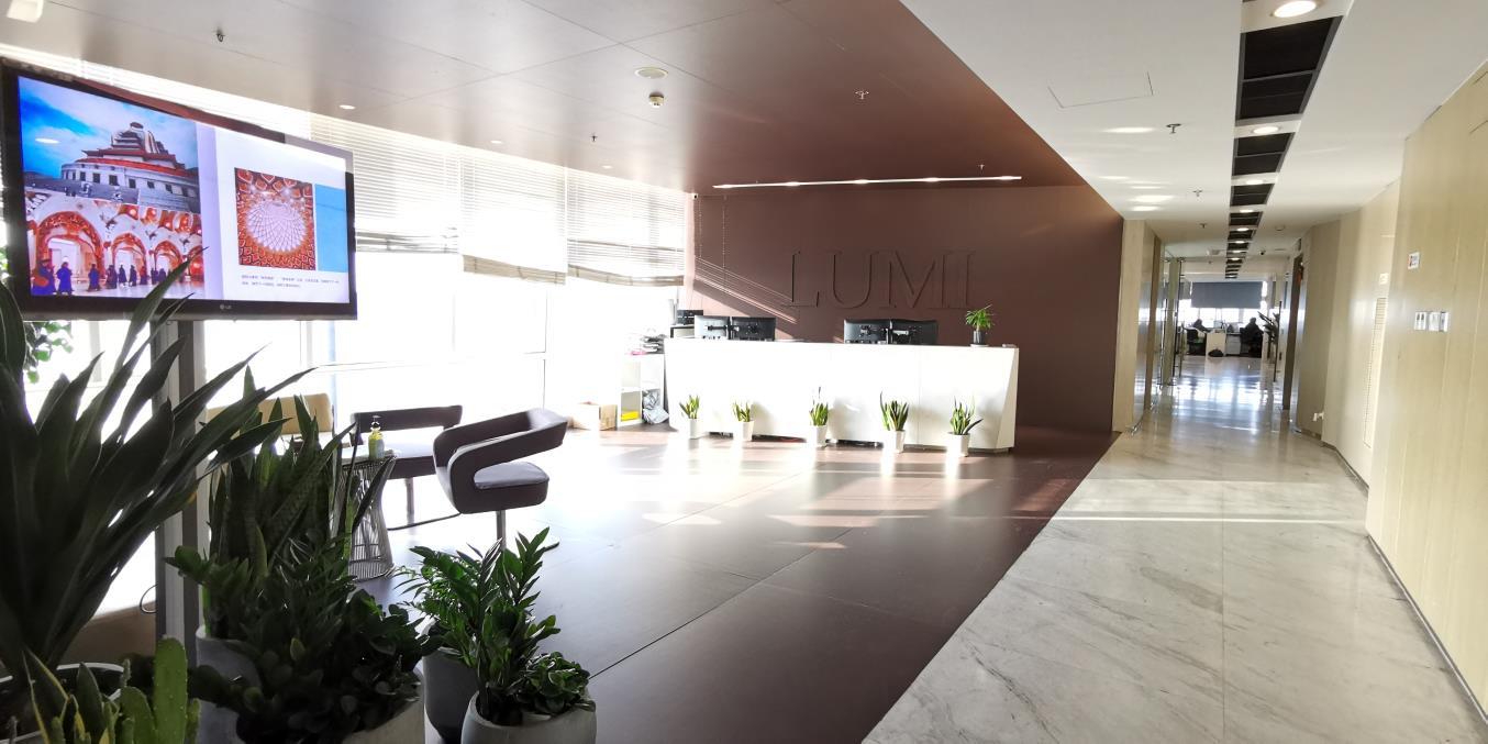 Lumi Legend Corporation Monitor Arms