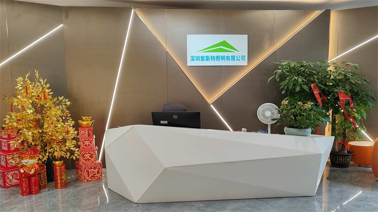 Shenzhen Surmountor Lighting Co., Limited LED Strip Light