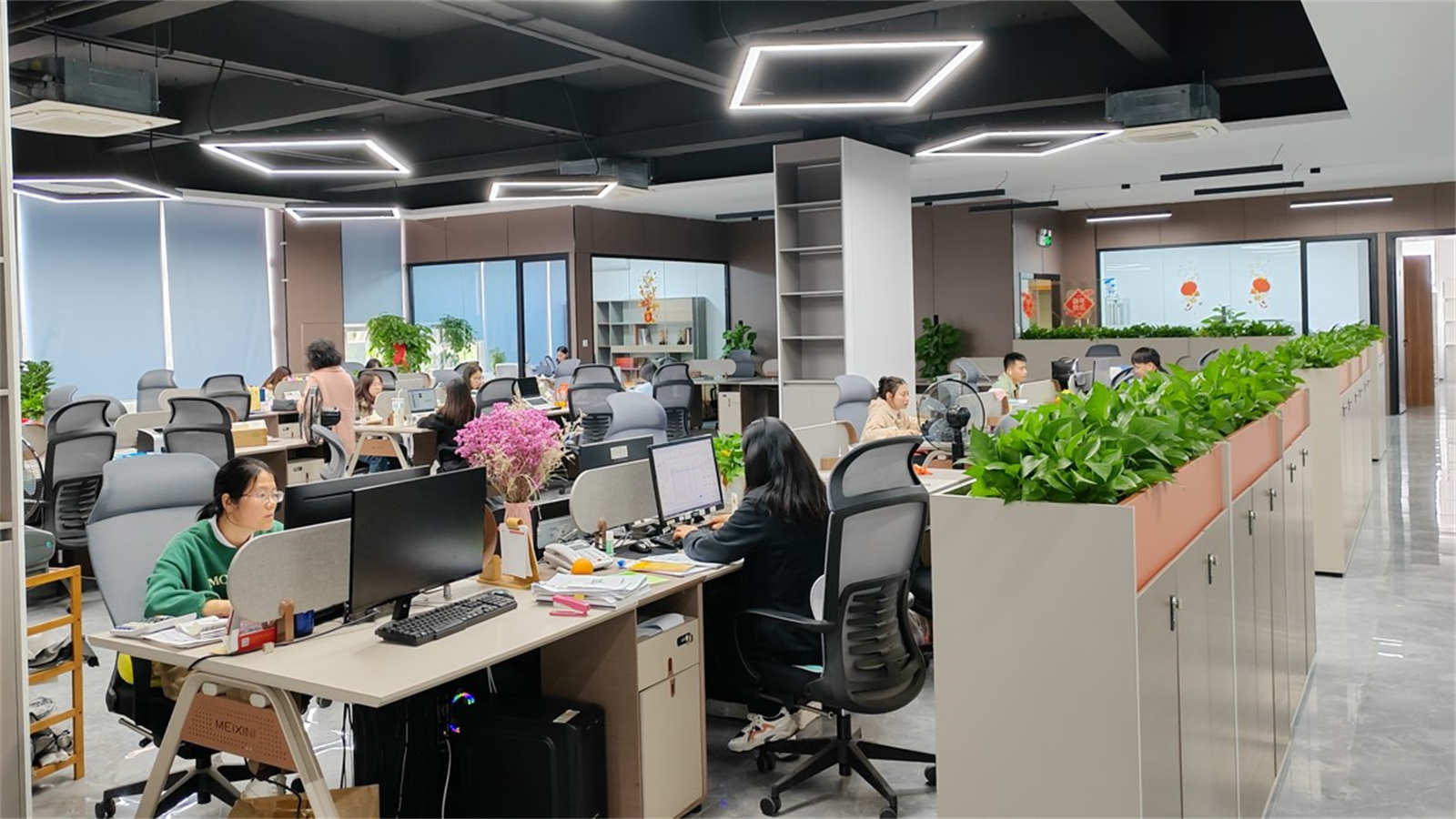 Shenzhen Surmountor Lighting Co., Limited LED Neon Flex