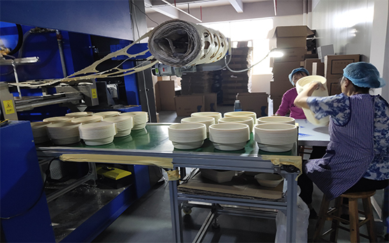 Dongguan Lvzong Industry Co., Ltd. disposable lunch boxes