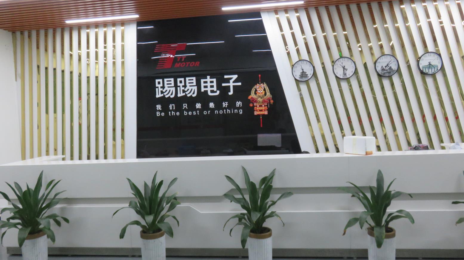 TT Motor (Shenzhen) Industrial Co., Ltd. factory image 4