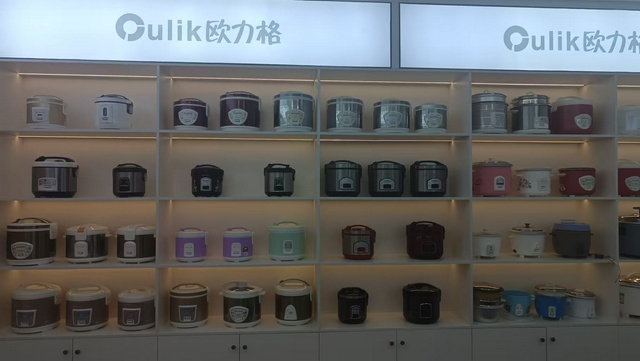 Lianjiang Jiangli Electric Appliance Manufacturing Co., Ltd. factory image 2