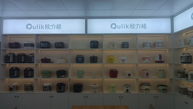 Lianjiang Jiangli Electric Appliance Manufacturing Co., Ltd. factory image 4