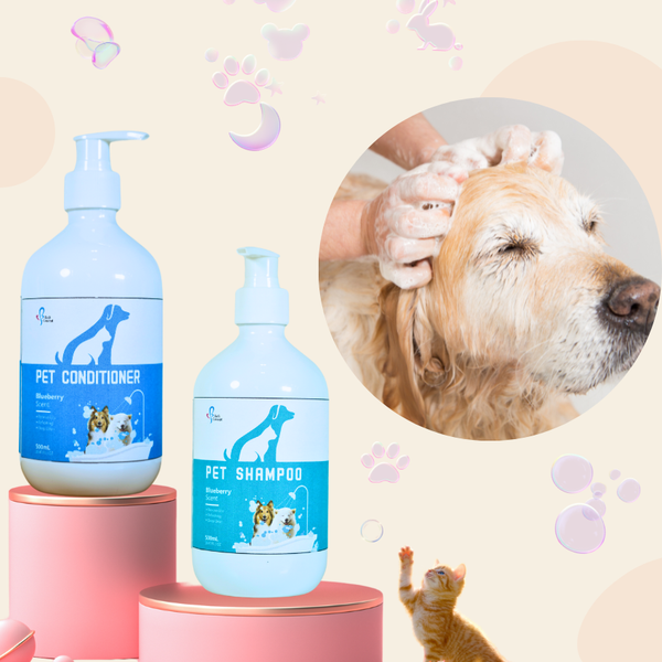Pet Private Label Shampoo Manufacturers Dog Care Products Amino Acid Shampoo and Conditioner Set for Cats and Dogs