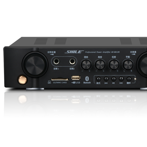 AV-6612B Home Karaoke USB SD Wireless Blue Tooth Microphone Multifunction 45W Professional Mixer Amplifier Power Amplifier