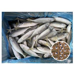 Hot Sale IQF Frozen Mackerel 100-120g Whole Round Short Mackerel Horse Mackerel