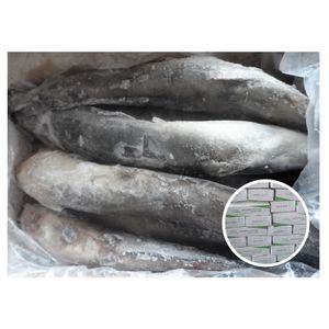 Chinese Supplier Supply Frozen Fresh Whole Round Clarius Fuscus Meat Catfish for Market