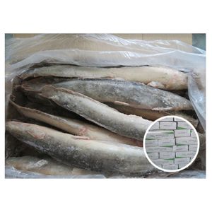 Hot Sale Fresh Frozen Whole Round Clarius Fuscus Catfish for Market Selling