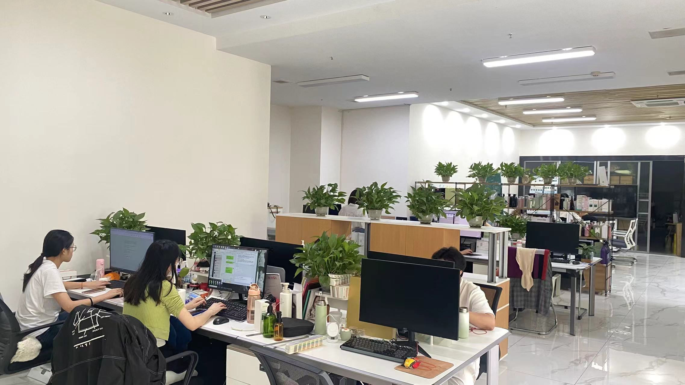 Guangzhou Daieme Cosmetic Co., Ltd. Essential Oil