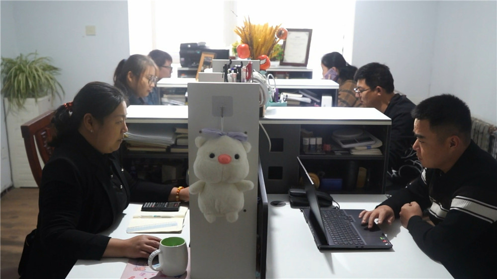 Hebei Enyu Imp. & Exp. Trade Company Limited Soap Noodles