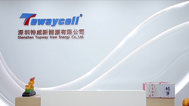 Shenzhen Topway New Energy Co.,Ltd LiFePO4 Battery