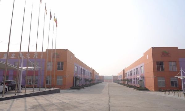 d1n0nbeph6sc73e278kg.jpg
