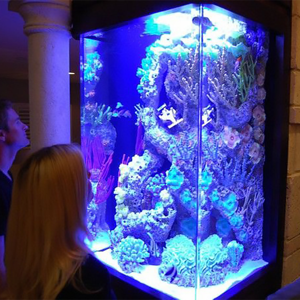 Hot Selling Large Size LED Light Jelly Fish Transparent Aquarium Customizable Plastic Fish Tank for Home Decoration