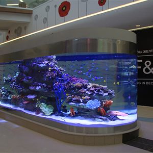 Top Large Custom Acrylic Aquarium Clear Glass Home Water Tank with Plastic Salt See Chinese Top Sale Large Round Tank