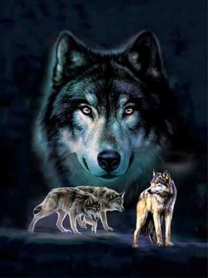 Wall Art Cartoon 3D Lenticular Poster Home Decoration Custom Lenticular Printing