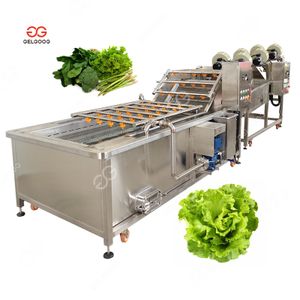 Low Price Industrial Conveyor Belt Celery Vegetable Ozone Bubble Cleaner Lettuce Washer Machine Washing Plant for Vegetable
