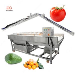 Gelgoog Citrus Avocado Washer Tomato Vegetable Brush Cleaning Machine Plant Tomato Washing System