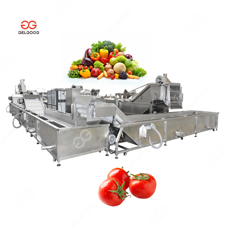 Stainless Steel Cherry Tomato Clean Processing Equipment Washing Drying Fruit and Vegetable Onion Peeling Cleaning Machine