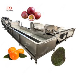 Commercial Passion Fruit Citrus Wash Clean Drying Sort and Waxing Sorting Grading Avocado Cleaning Washing Production Line
