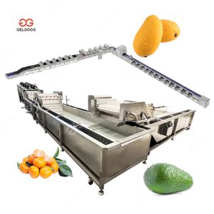Gelgoog Price Citrus Fruit Avocado Washer Cleaning Waxing Size Sorting Grading Processing Mango Washing and Waxing Machine