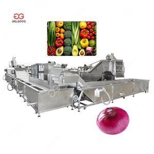 Gelgoog Mango Fruit Onion Cleaning and Peeling Production Bubble Vegetable Washing Cutting Blanching Machine