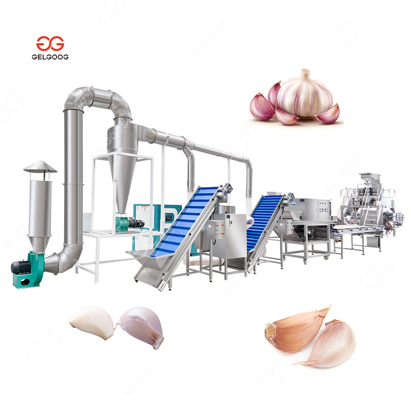 Gelgoog Assembly Garlic Separate Bulb Breaker Processing Machine Peeled Garlic Machinery
