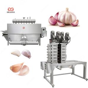 500kg Per Hour Commercial Garlic Processing Machine Continuous Feed Garlic Peeler with Chain