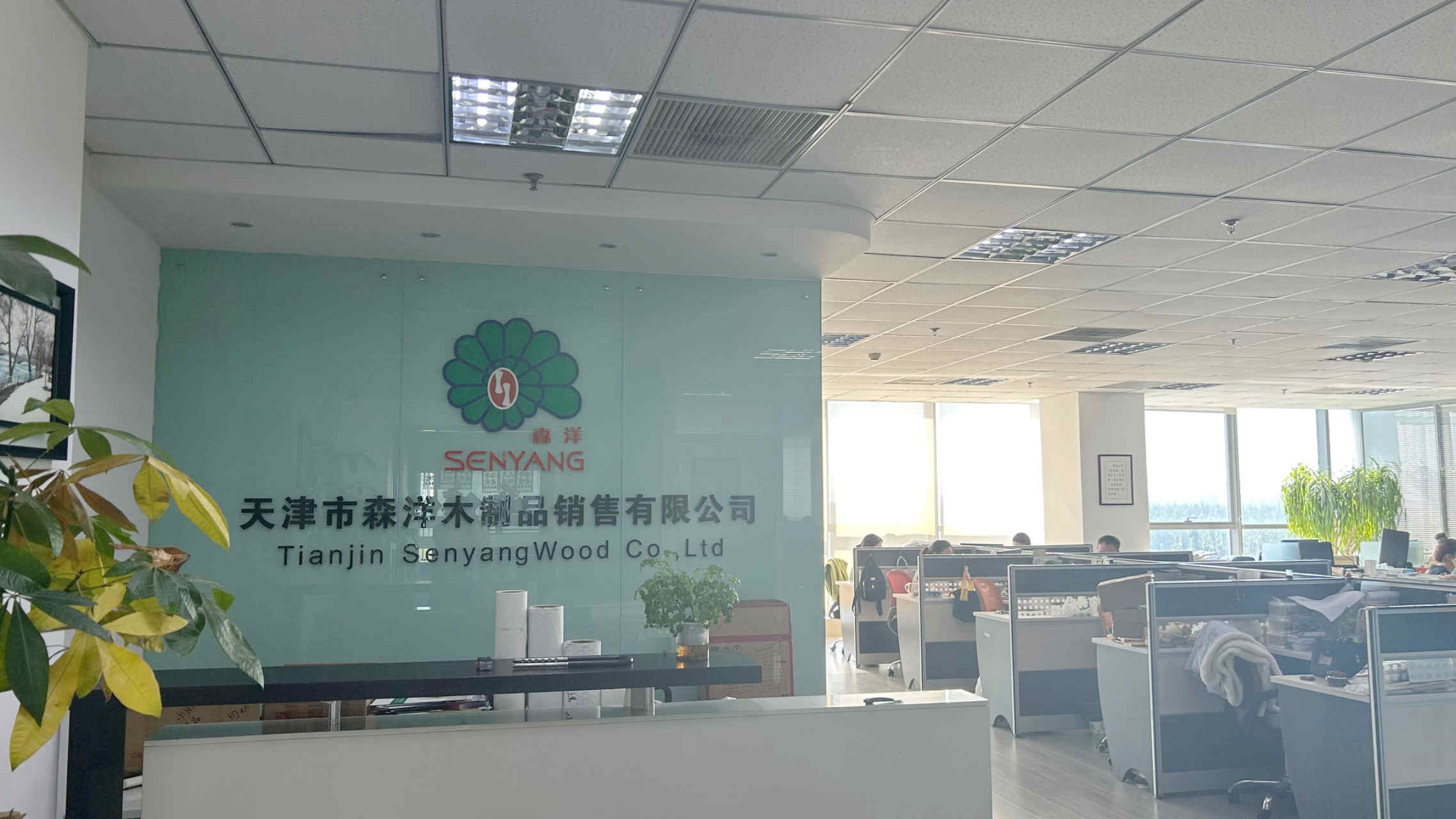Tianjin Senyangwood Co., Ltd. Wooden Ice Cream Spoon