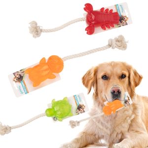 Pawise Interactive Treat Dispensing Leakage Food Dog Toy With Cotton Rope Pet Treat Dispenser Slow Feeding Toy For IQ Training
