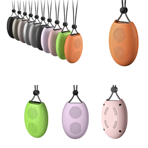 OEM Wholesale 2-Inch Portable Smart Speaker Multi-Functional with Built-In Battery for Home or Outdoor Use Chargeable