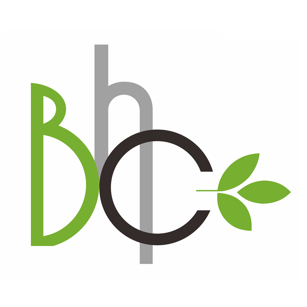 Bingo Hair Cosmetic Manufacture Co. Ltd logo