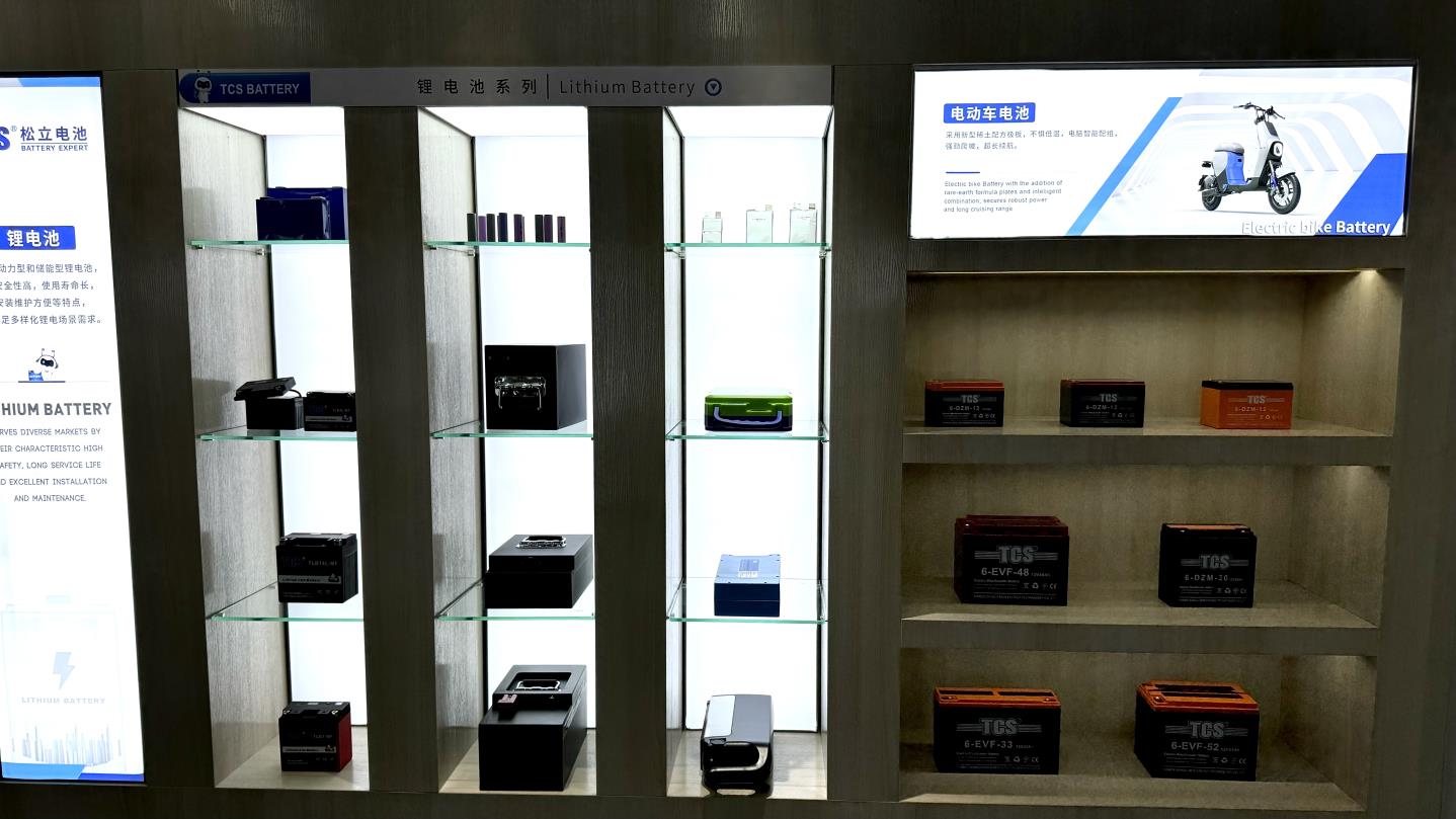 Xiamen Songli Import and Export Co., Ltd Lead-Acid Battery