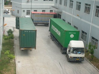 Dongguan Green Paper Industrial Co., Ltd. Toilet Paper