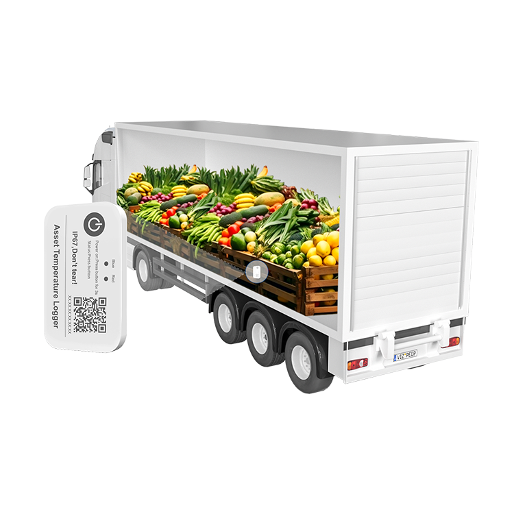 IoT Industrial Datalogger Temp Sensor Temperature Data Logger Meter Recorder Bluetooth Wireless Smart Temperature Sensors