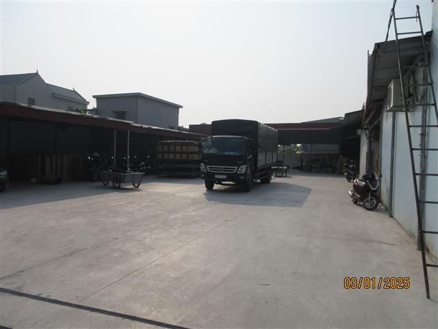 Artex Thien Thanh Co., Ltd. Water Hyacinth Trays