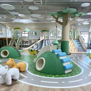 Premium Soft Play Equipment for Kids Complete Indoor Playground Sets with Slide  Ball Pit