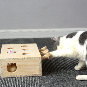 OEM Factory's Hot Sale Interactive Wooden Pet Cat Treat Toy Attractive Smart Catnip Toys Box for Cats
