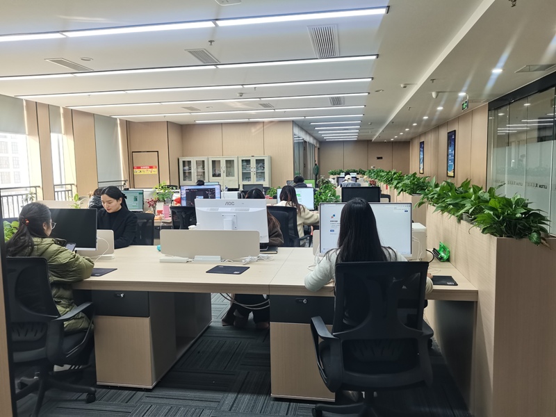 Sichuan Leton Industry Co., Ltd. Gasoline Inverter Generators