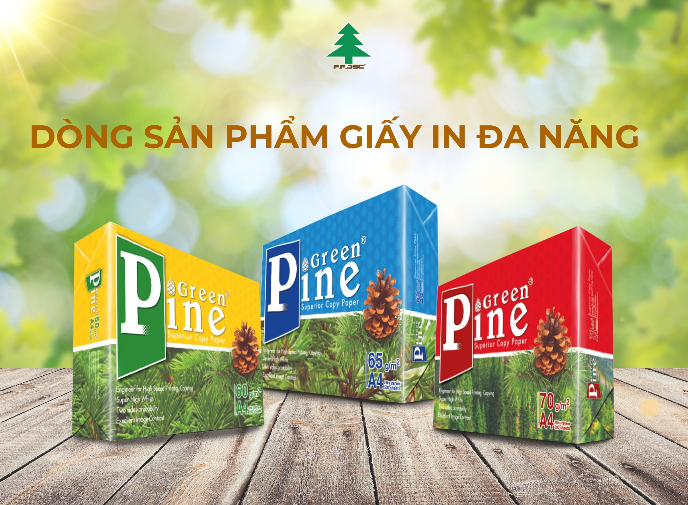 Green Pine Superior Copy Paper