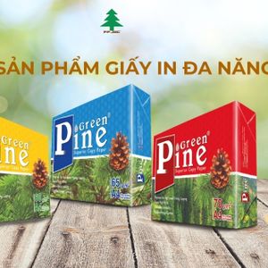Green Pine Superior Copy Paper