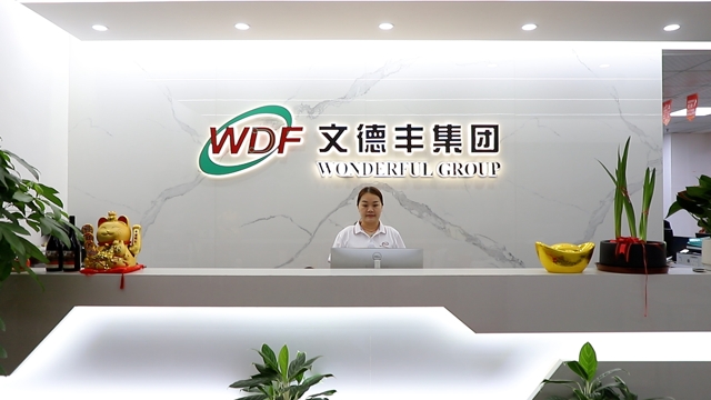 Shenzhen Wonderful Technology Co., Ltd. Rigid-Flex PCB