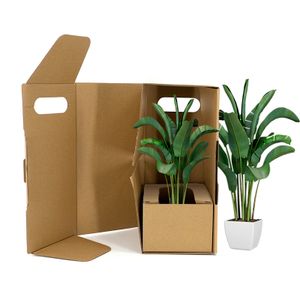 Custom Live Plant Shipping Corrugated Kraft Paper Packaging Boxes Potted Succulents Caja Carton Plantas