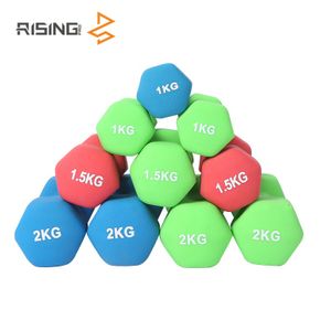 Rising Fitness in Stock Neoprene/vinyl Aerobic Women Dumbbell Set Small Dumbbell Neoprene Dumbbells
