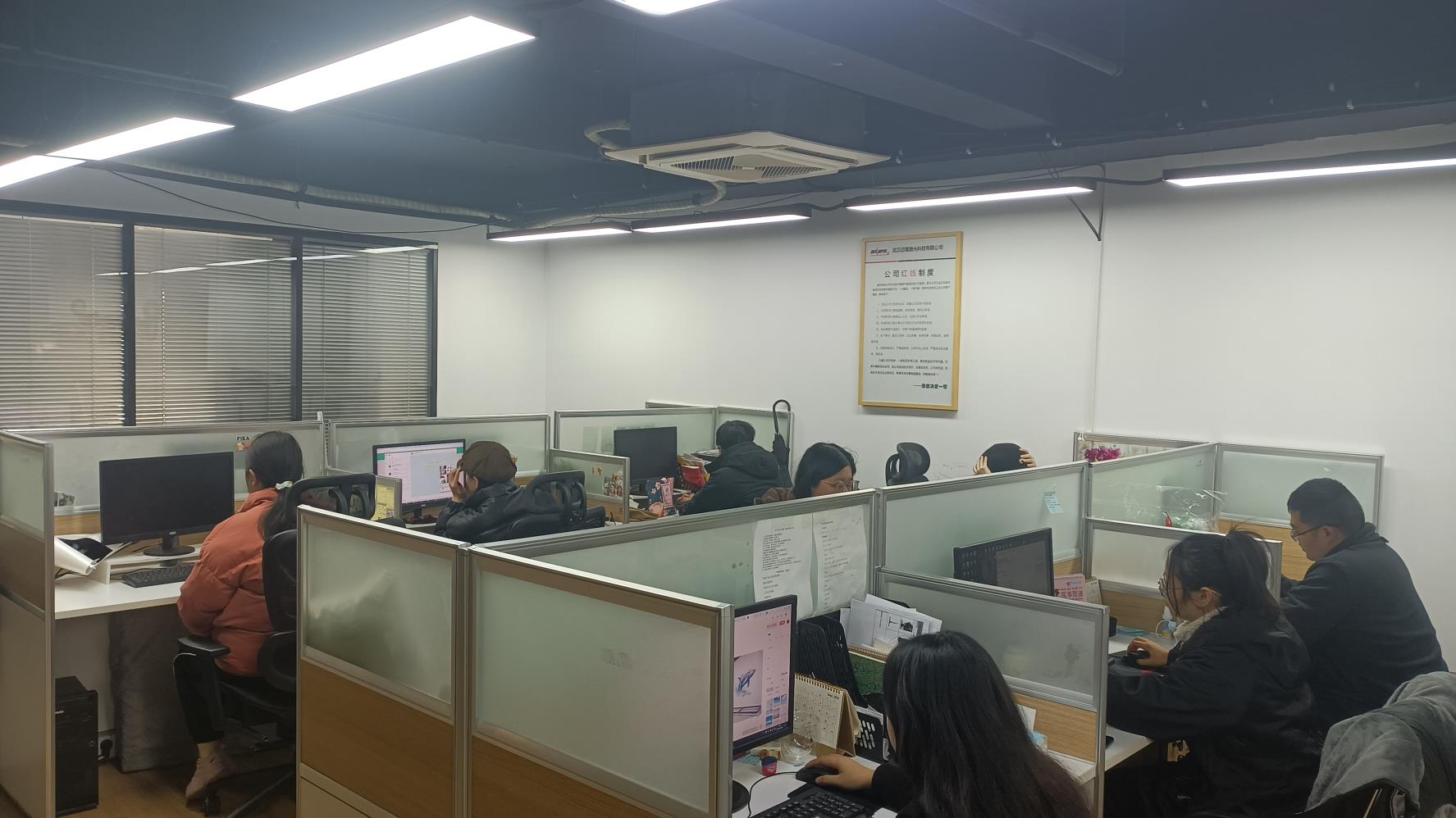 Wuhan Dimed Laser Technology Co., Ltd. Therapy Laser Equipment