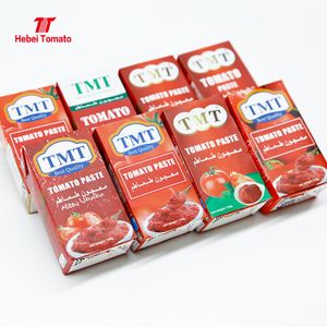 Tomato Paste in Aseptic Packaging Paper Brick Shape Packaging Tomato Paste Factory