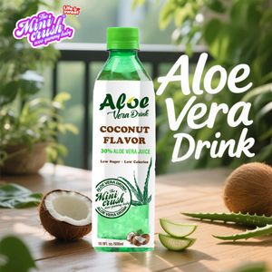 Direct From Factory 500ML Coconut and Aloe Vera Flavored Beverage Fruit & Vegetable Juice China Direct
