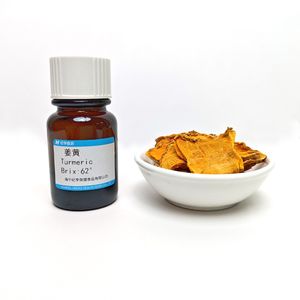 62°Brix Food and Beverage Ingredients Additives Turmeric Products Plant Extract Liquid