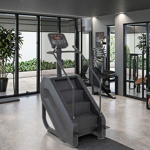 Direct Factory Supply Commercial Gym Fitness Equipment Aerobic Climbing Mountaineering Stair Master Stepping Machine