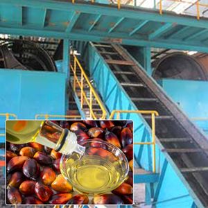 Palm Oil Refinery Plant Equipment /Palm Kernel Oil Refining Machine
